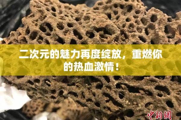二次元的魅力再度绽放，重燃你的热血激情！