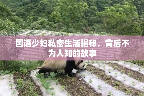 国语少妇私密生活揭秘，背后不为人知的故事
