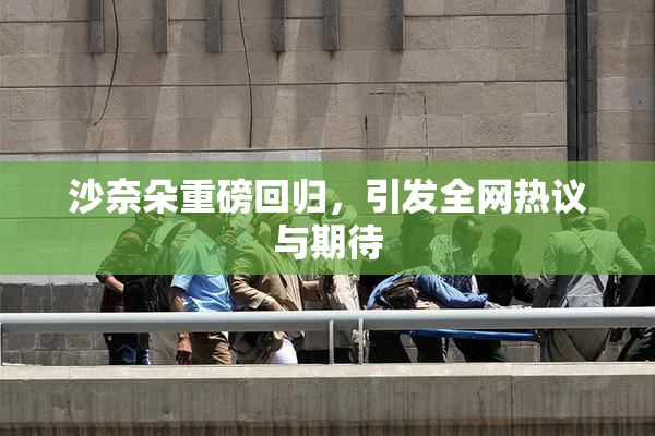 沙奈朵重磅回归，引发全网热议与期待