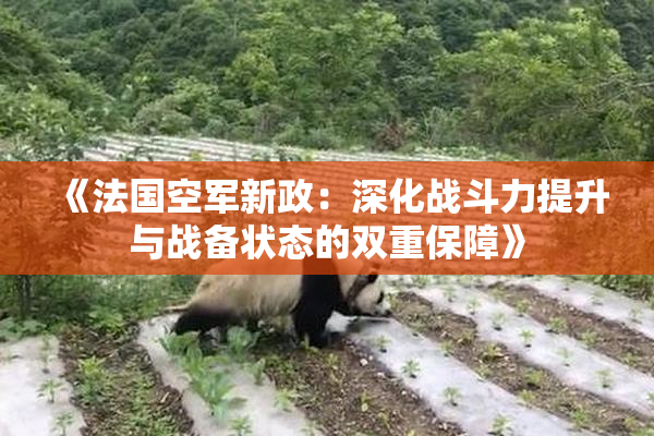《法国空军新政：深化战斗力提升与战备状态的双重保障》