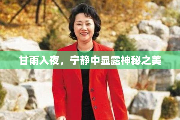 甘雨入夜，宁静中显露神秘之美