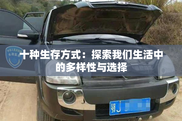 十种生存方式：探索我们生活中的多样性与选择