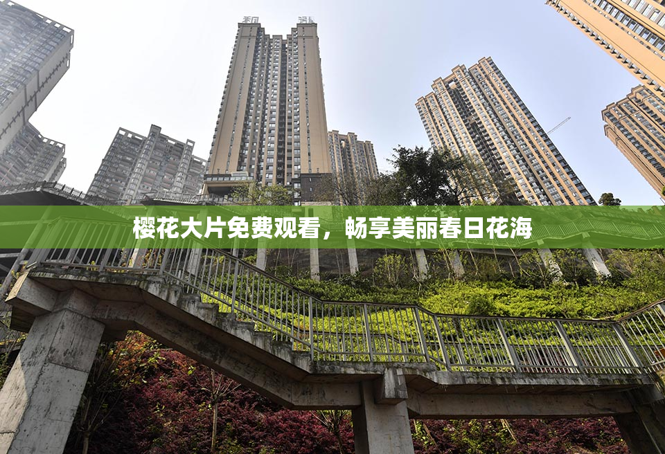 樱花大片免费观看，畅享美丽春日花海