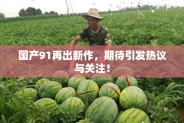 国产91再出新作，期待引发热议与关注！