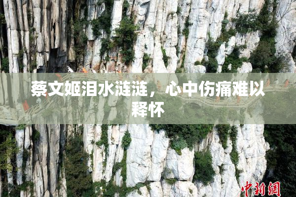 蔡文姬泪水涟涟，心中伤痛难以释怀