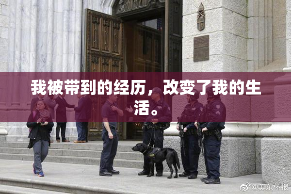 我被带到的经历，改变了我的生活。