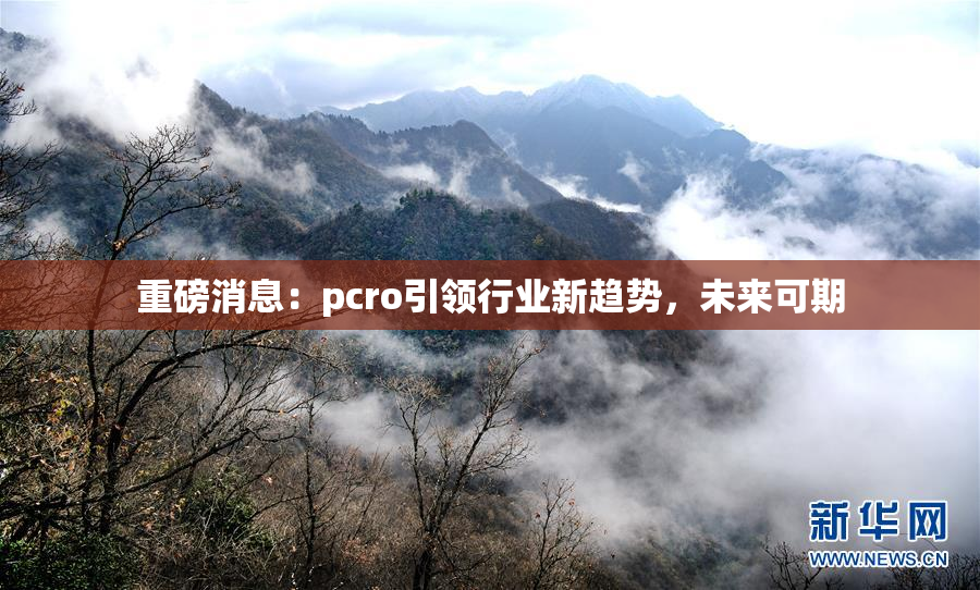 重磅消息：pcro引领行业新趋势，未来可期