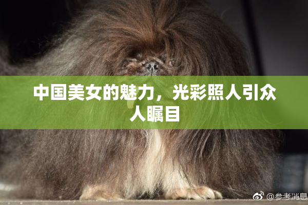 中国美女的魅力，光彩照人引众人瞩目