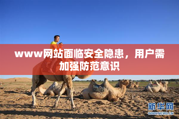 www网站面临安全隐患，用户需加强防范意识