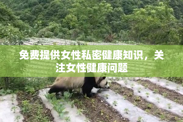 免费提供女性私密健康知识，关注女性健康问题