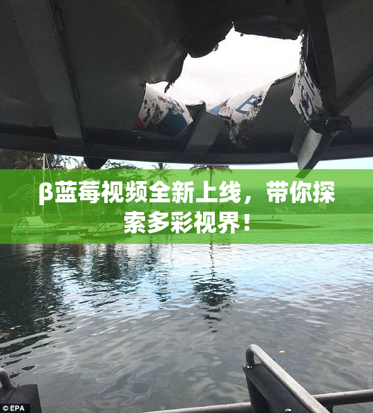 β蓝莓视频全新上线，带你探索多彩视界！