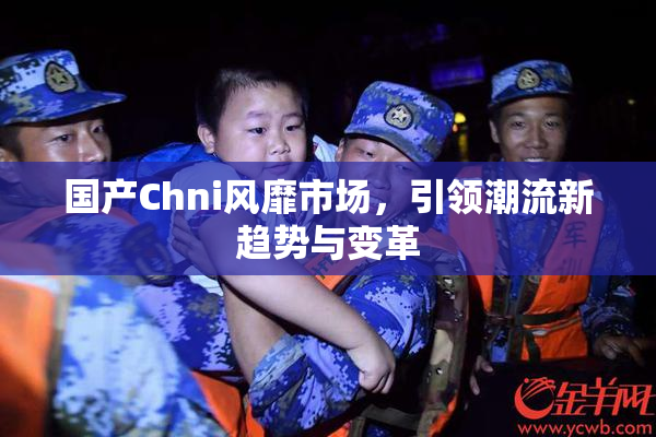 国产Chni风靡市场，引领潮流新趋势与变革