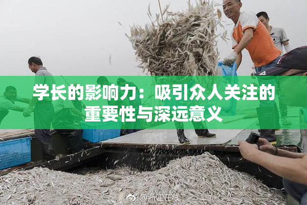 学长的影响力：吸引众人关注的重要性与深远意义