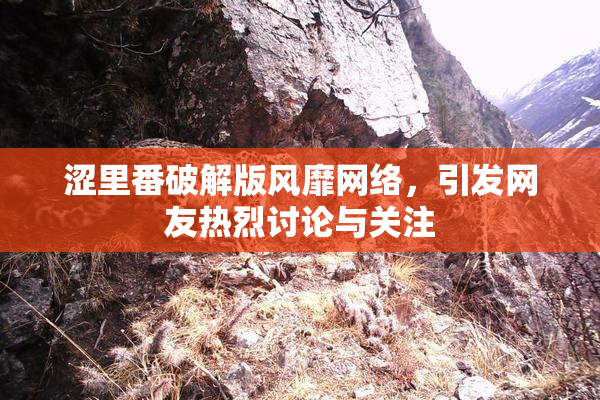 涩里番破解版风靡网络，引发网友热烈讨论与关注