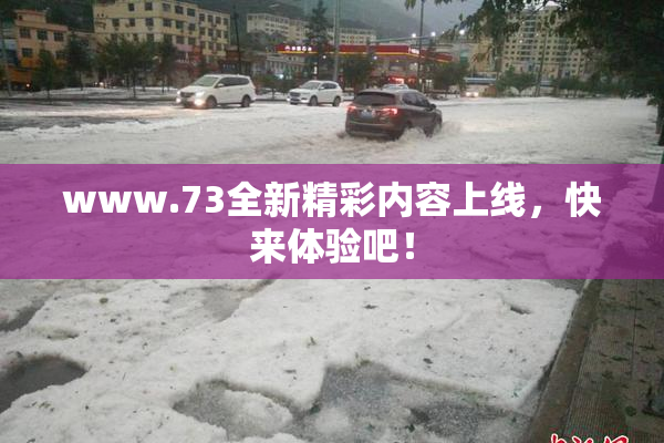 www.73全新精彩内容上线，快来体验吧！