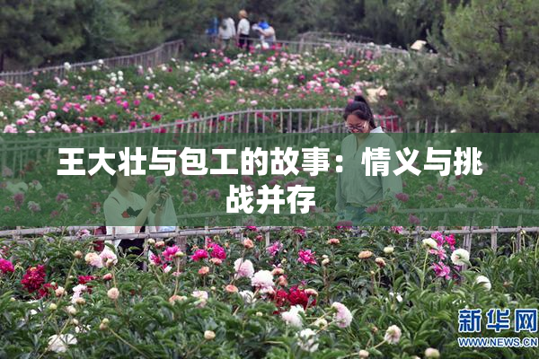 王大壮与包工的故事：情义与挑战并存