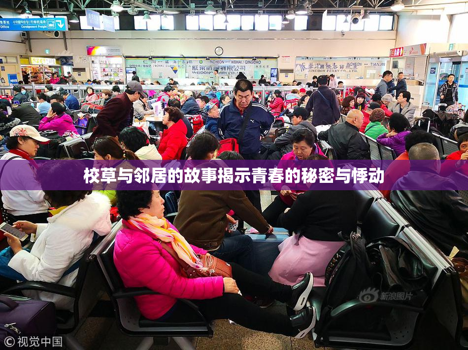 校草与邻居的故事揭示青春的秘密与悸动