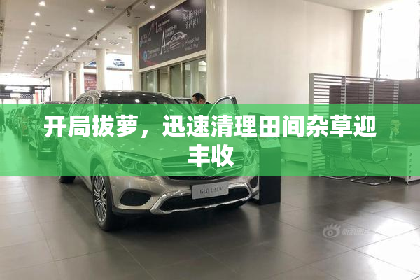 开局拔萝，迅速清理田间杂草迎丰收