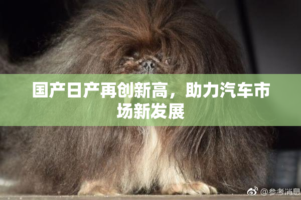 国产日产再创新高，助力汽车市场新发展
