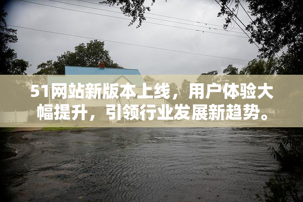 51网站新版本上线，用户体验大幅提升，引领行业发展新趋势。
