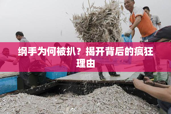 纲手为何被扒？揭开背后的疯狂理由