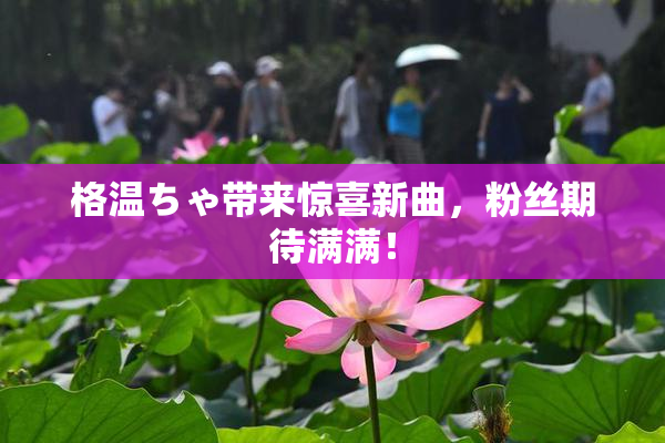 格温ちゃ带来惊喜新曲，粉丝期待满满！