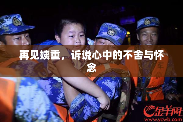 再见姨重，诉说心中的不舍与怀念