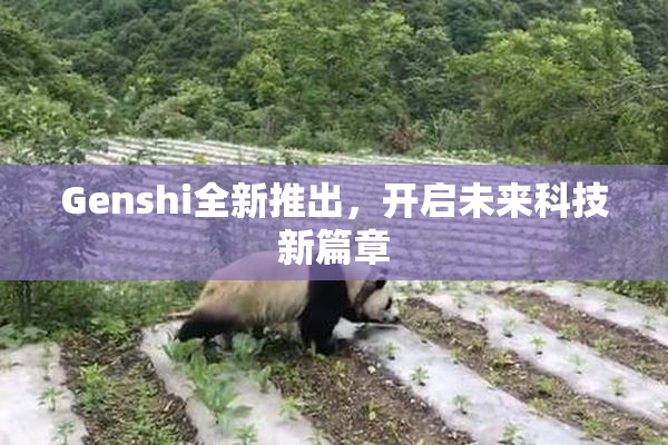 Genshi全新推出，开启未来科技新篇章