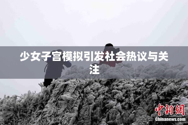 少女子宫模拟引发社会热议与关注
