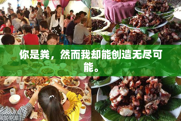 你是粪，然而我却能创造无尽可能。