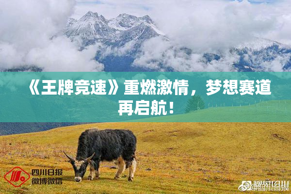 《王牌竞速》重燃激情，梦想赛道再启航！