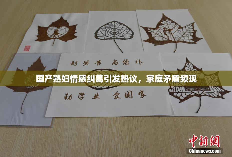 国产熟妇情感纠葛引发热议，家庭矛盾频现