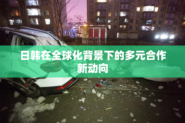 日韩在全球化背景下的多元合作新动向