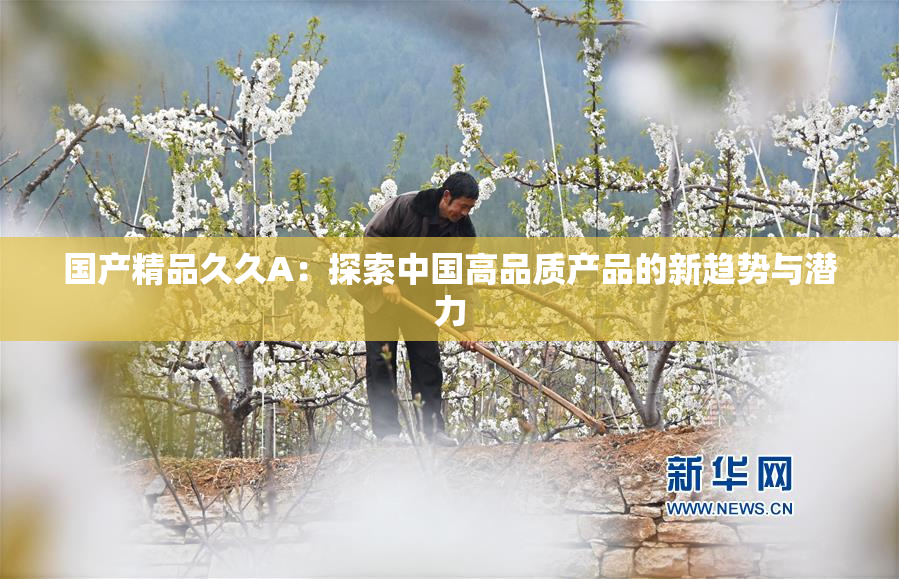 国产精品久久A：探索中国高品质产品的新趋势与潜力