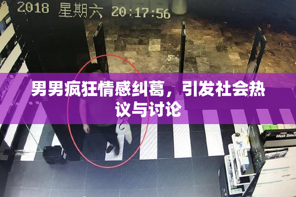 男男疯狂情感纠葛，引发社会热议与讨论