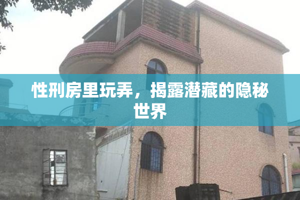 性刑房里玩弄，揭露潜藏的隐秘世界