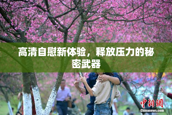 高清自慰新体验，释放压力的秘密武器