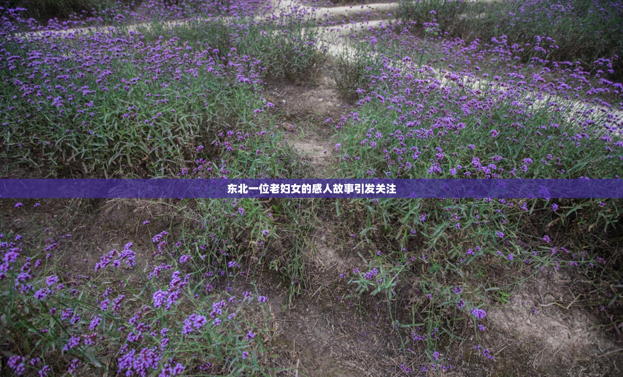东北一位老妇女的感人故事引发关注