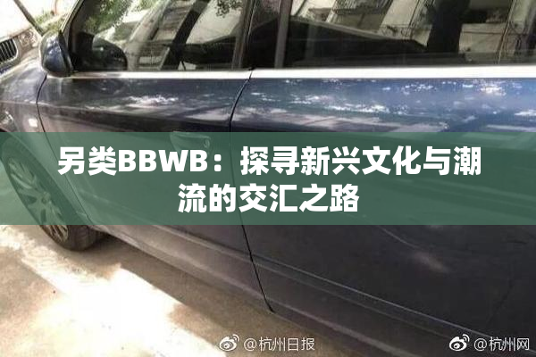另类BBWB：探寻新兴文化与潮流的交汇之路