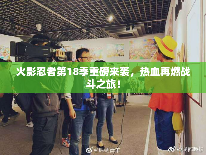 火影忍者第18季重磅来袭，热血再燃战斗之旅！