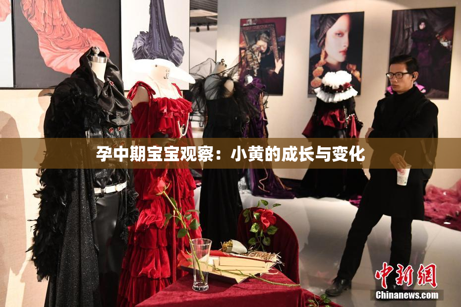 孕中期宝宝观察：小黄的成长与变化