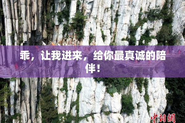 乖，让我进来，给你最真诚的陪伴！