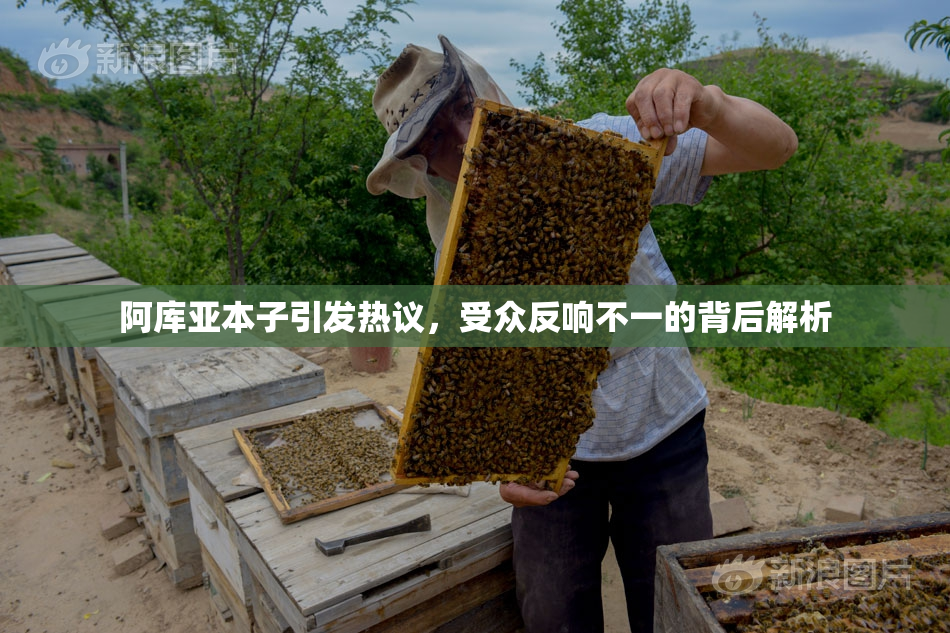 阿库亚本子引发热议，受众反响不一的背后解析