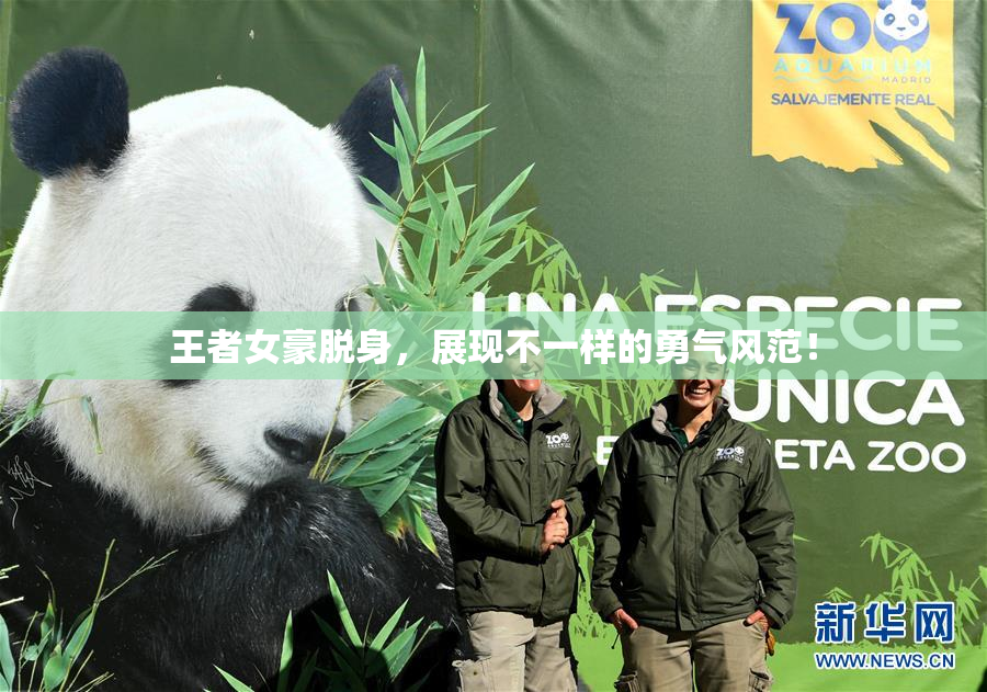 王者女豪脱身，展现不一样的勇气风范！