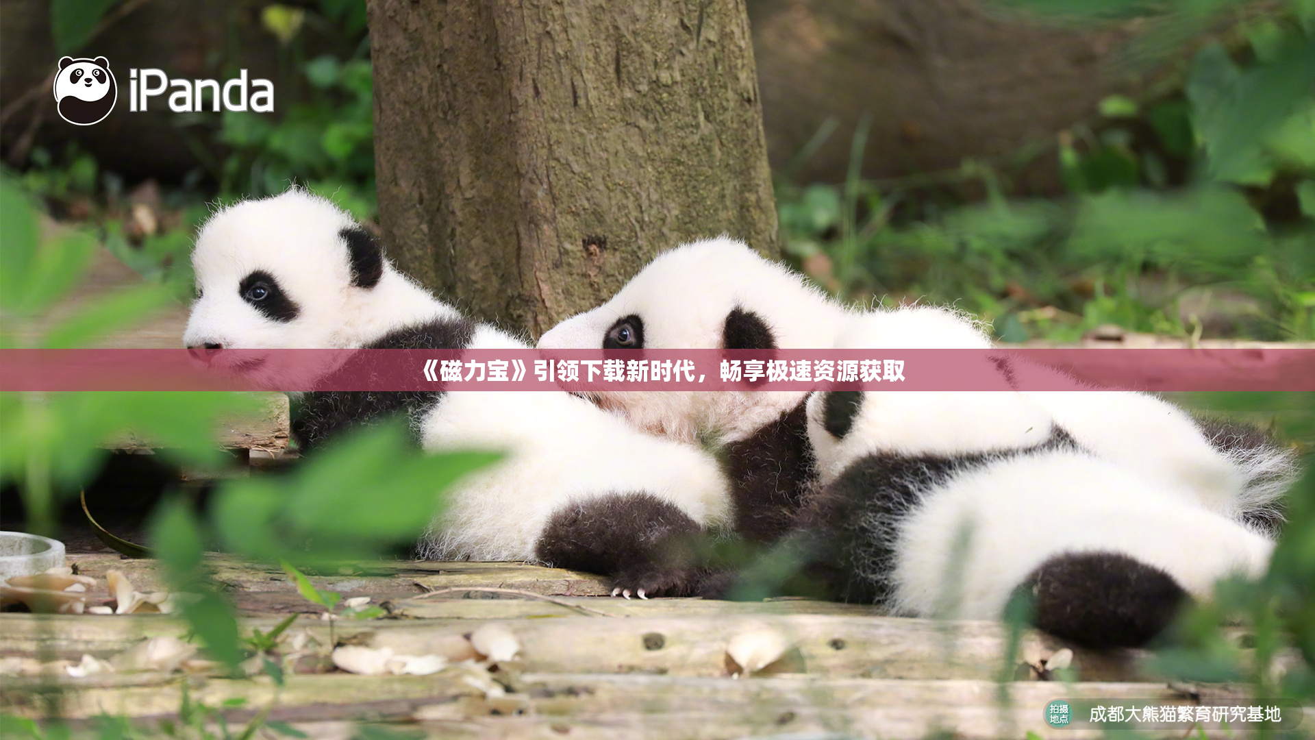 《磁力宝》引领下载新时代，畅享极速资源获取