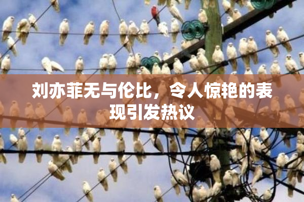 刘亦菲无与伦比，令人惊艳的表现引发热议
