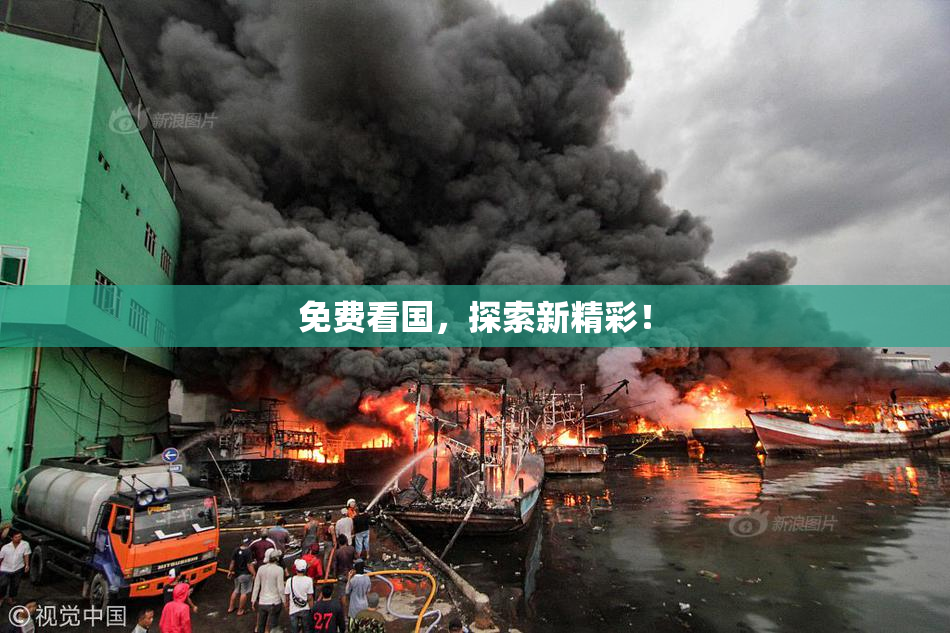 免费看国，探索新精彩！