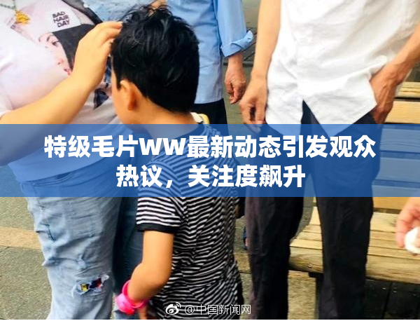 特级毛片WW最新动态引发观众热议，关注度飙升