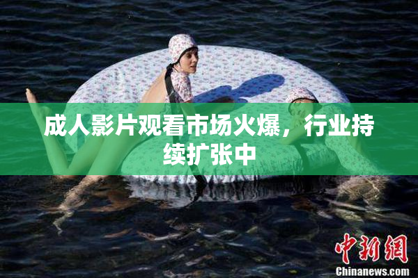 成人影片观看市场火爆，行业持续扩张中