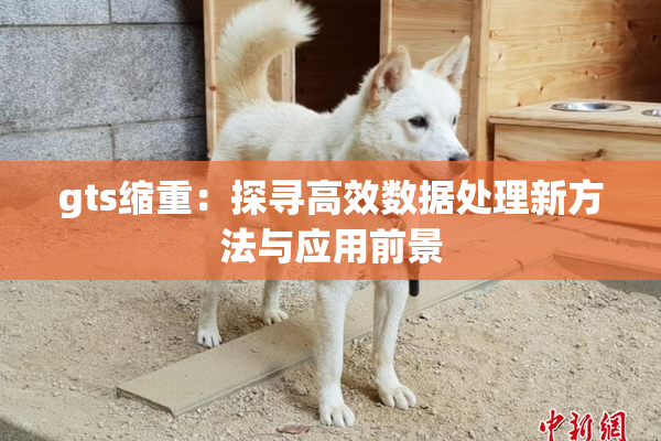 gts缩重：探寻高效数据处理新方法与应用前景